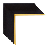 Black Gold Canvas Frame